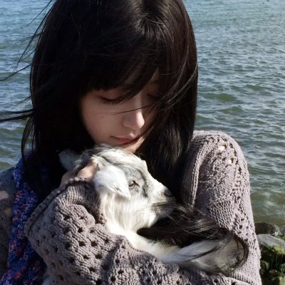 启禀太后我想和你谈恋爱